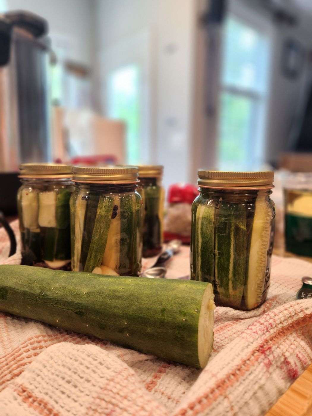 Pickles lidded and lined up
